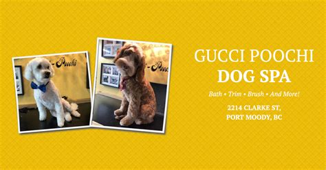 gucci poochi|gucci pooch grooming.